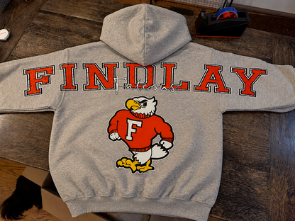 Oversized School Spirit Findlay Falcons hoodie back mockup